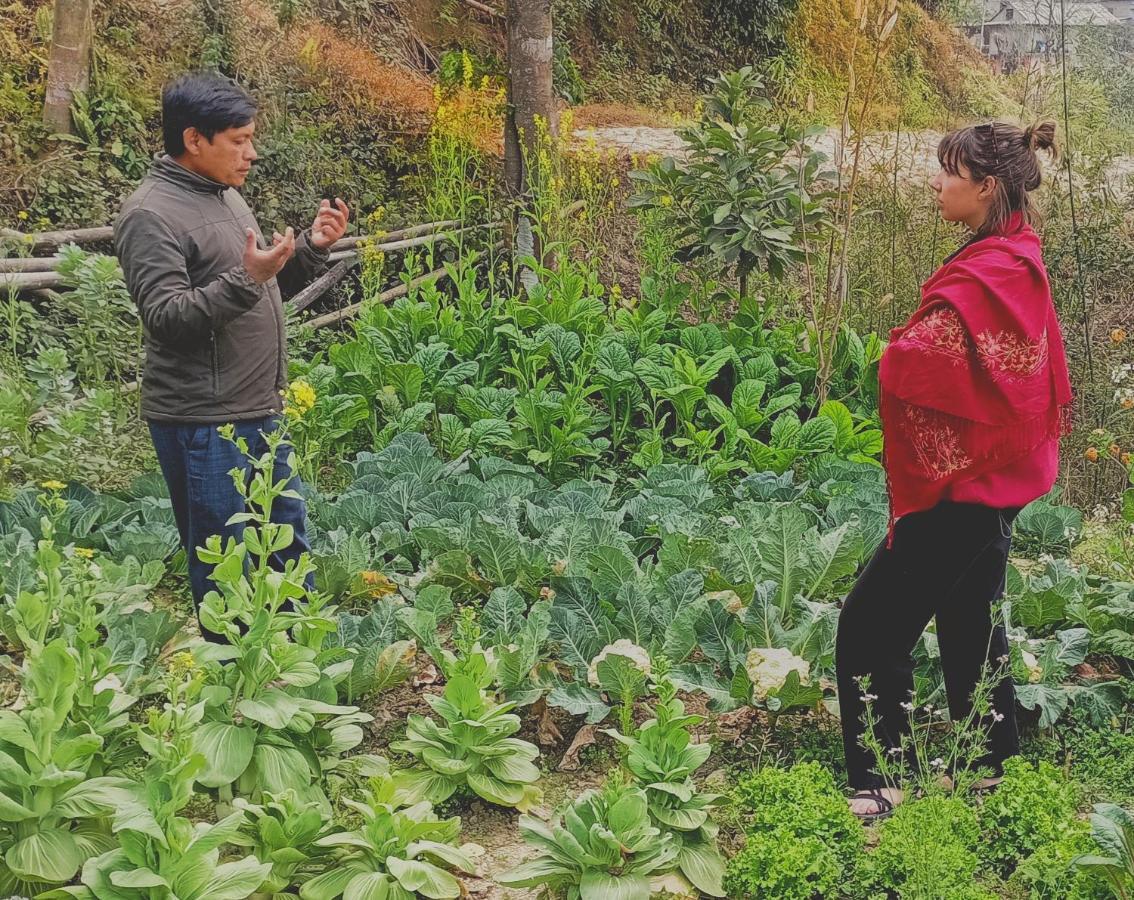 Patlekhet Eco Farmhouse ドゥリケル エクステリア 写真