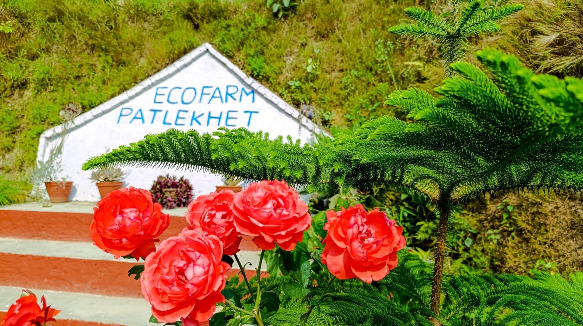Patlekhet Eco Farmhouse ドゥリケル エクステリア 写真